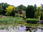 POWSIN - Ogród Botaniczny Polskiej Akademii Nauk