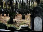 WARSZAWA W OBIEKTYWIE (kolekcja albumów): Cmentarz Żydowski przy ul. Okopowej