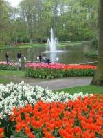 Holenderski rajski ogród
